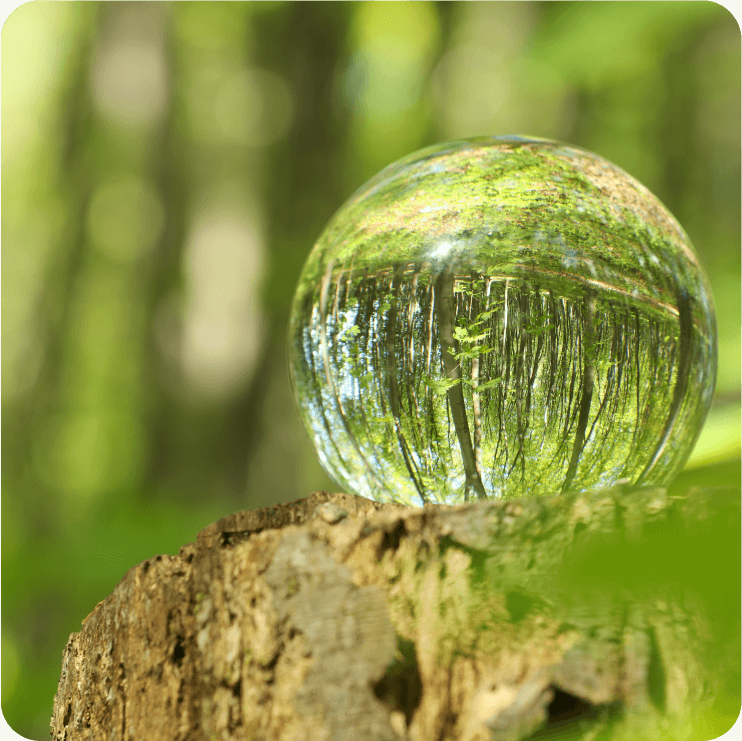 佐野商会のCSR/環境への取り組みへのリンク画像